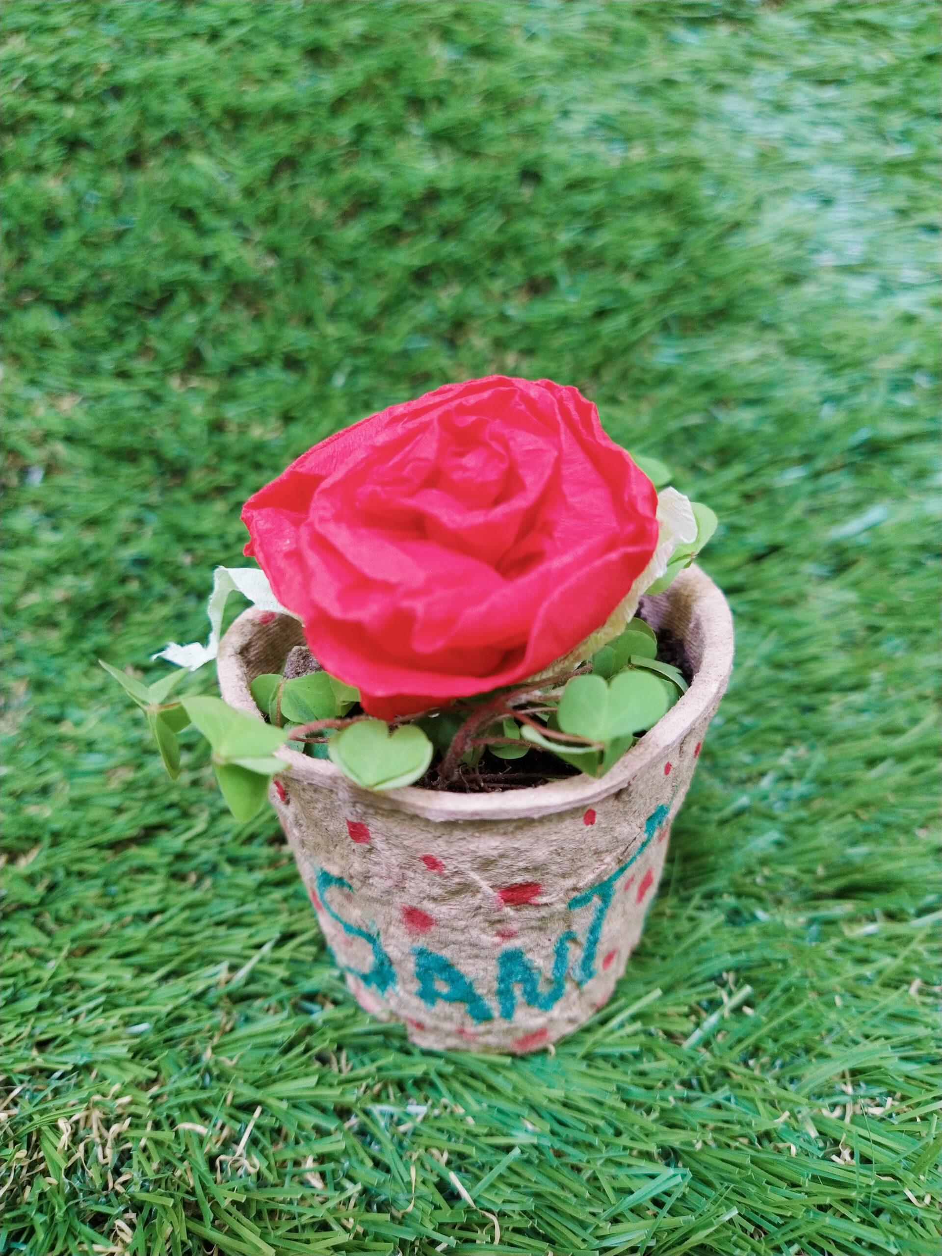 Rosa de paper